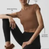 Alosoft Crop Finesse maniche corte - Marrone baciato dal sole