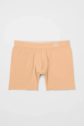 Boxer Day and Night - Champagne