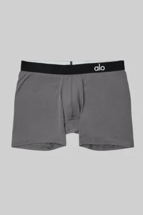 Boxer Day and Night - Grigio