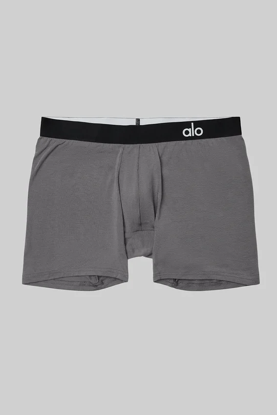 Boxer Day and Night - Grigio