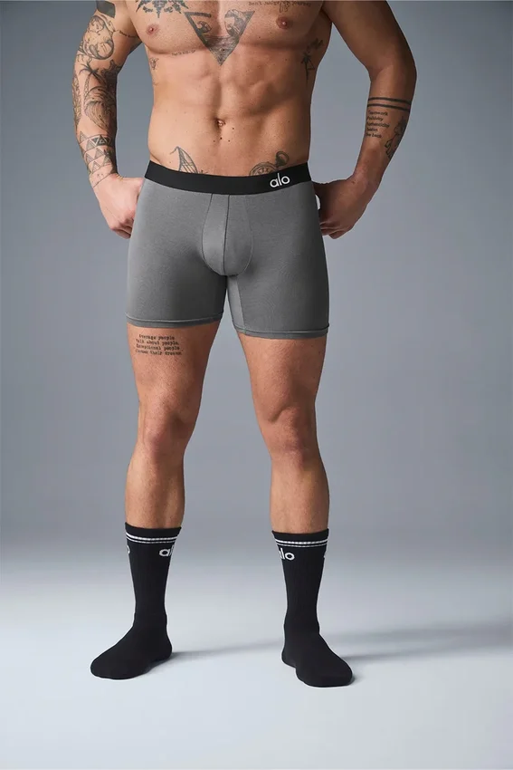 Boxer Day and Night - Grigio