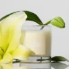 Candela Alo Love - 8 Oz