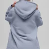 Felpa con cappuccio Renown Heavy Weight - Winter Frost