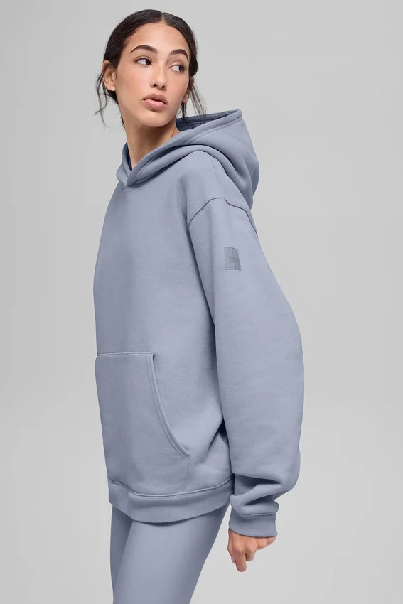Felpa con cappuccio Renown Heavy Weight - Winter Frost