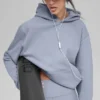 Felpa con cappuccio Renown Heavy Weight - Winter Frost