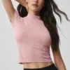 Top con maniche corte e collo alto in punto senza cuciture - Rosa vintage