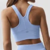 Wild Thing Bra - Blu Provenza chiaro